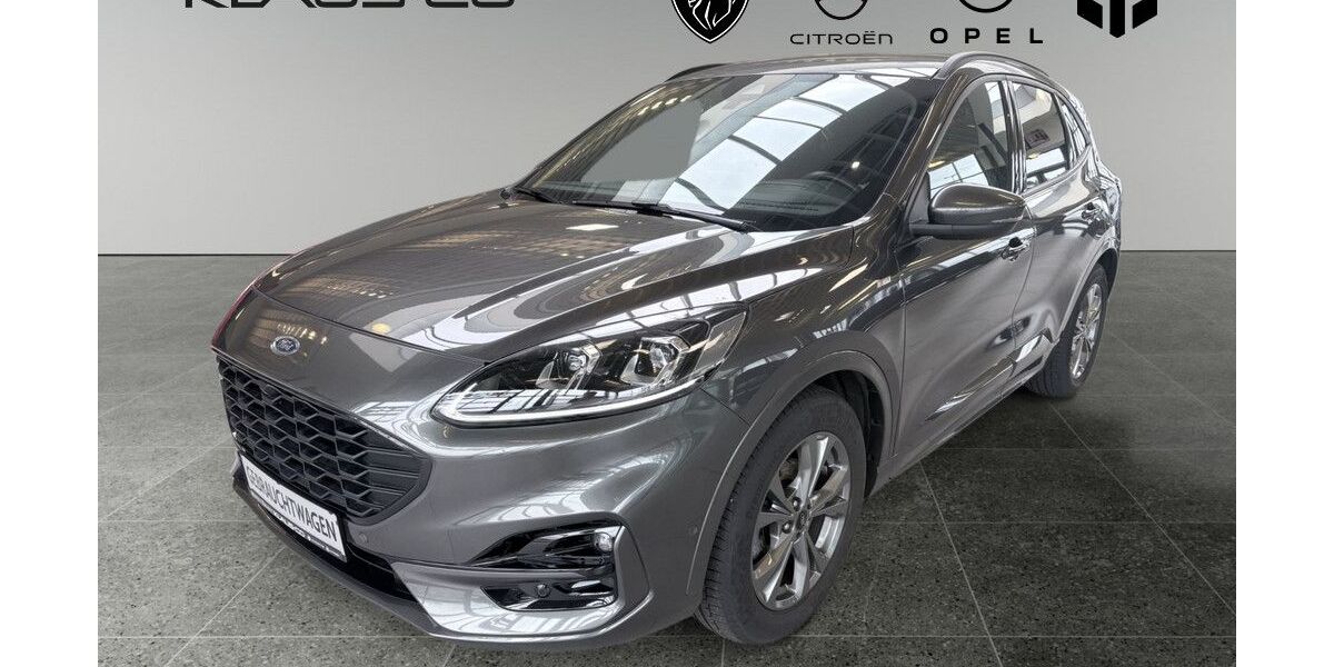 Ford Kuga 77.210 km 18.990 &euro; Flensburg 24941