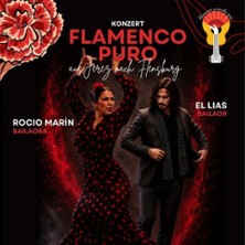 Flamenco Puro 03.09.2026 Roxy Flensburg