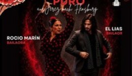 Flamenco Puro